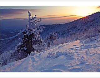 함백산 설경