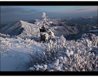 함백산 설경 2
