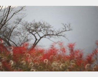 시선