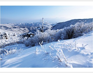 함백산 설경