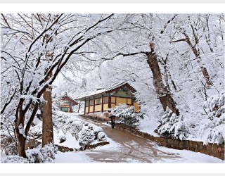 부석사 설경