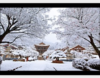 부석사 설경