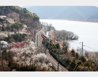 원동 순매원