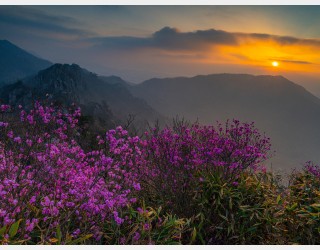주작산