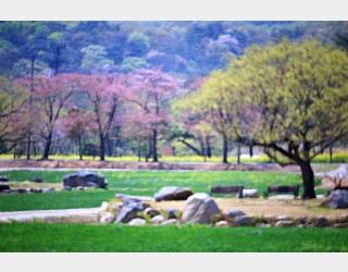 봄날