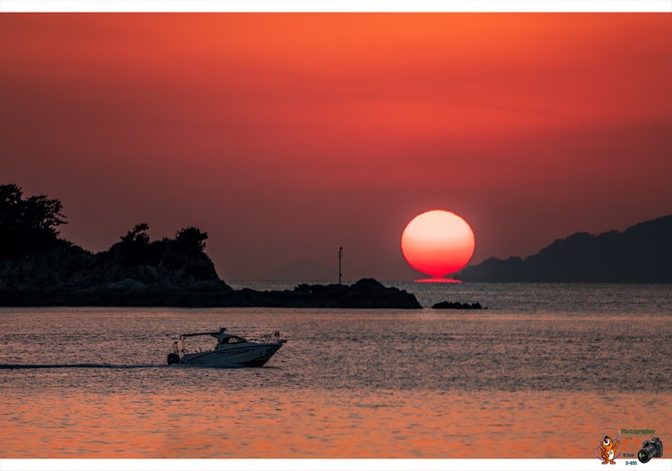 첼로 오여사