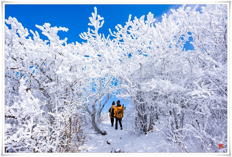 겨울산