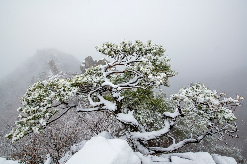 가지산 첫눈