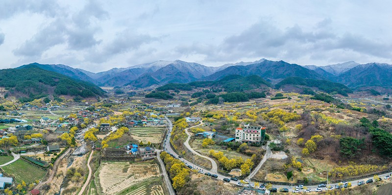 상동의봄