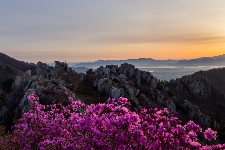 주작산의 봄