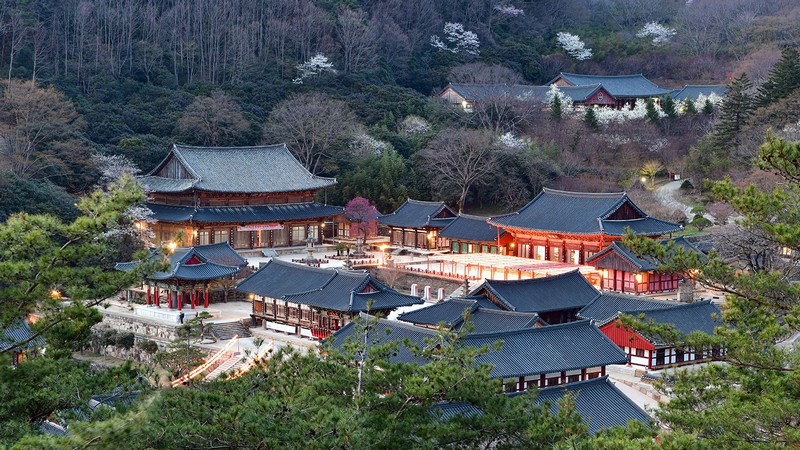 지리산 화엄사의 야경~