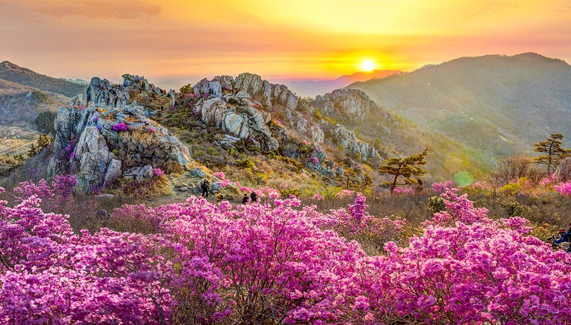 주작산(파노라마)