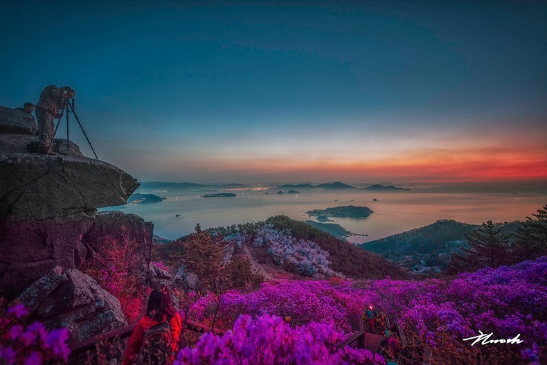 대금산