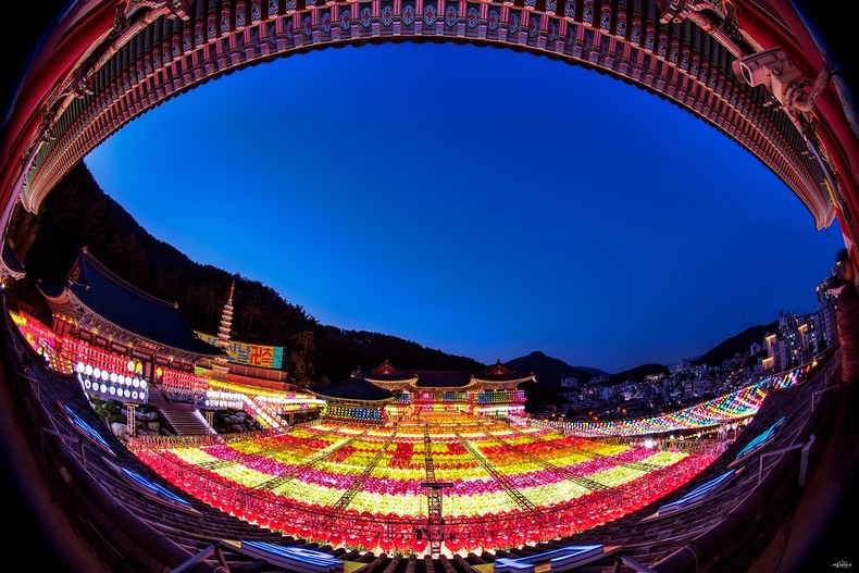 삼광사