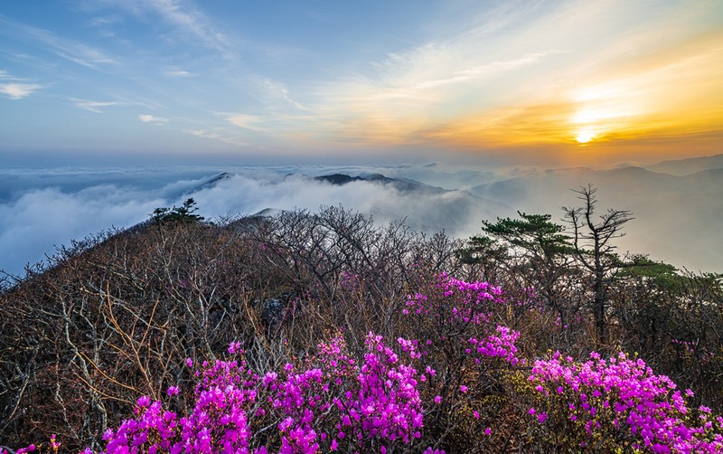 서북능선