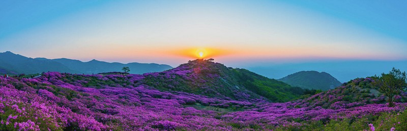 황매산 일출