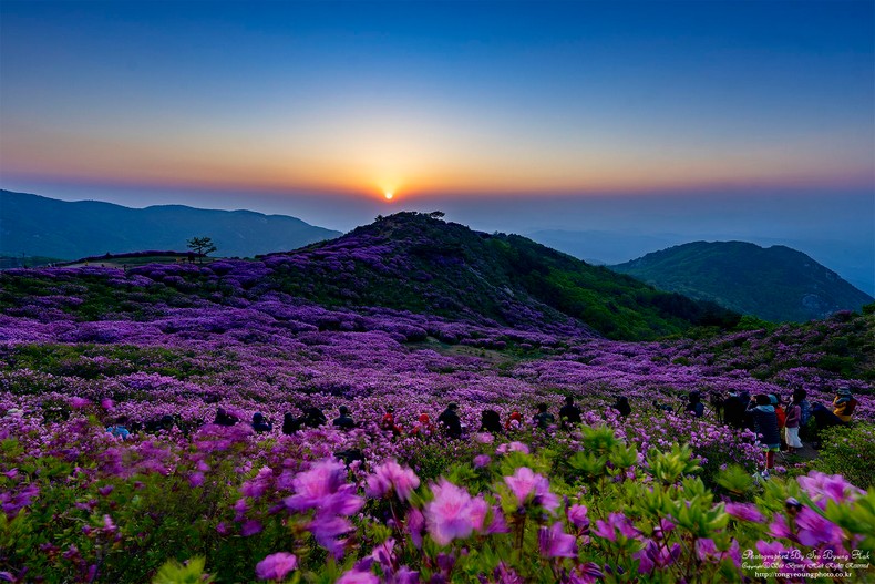 황매산의 아침
