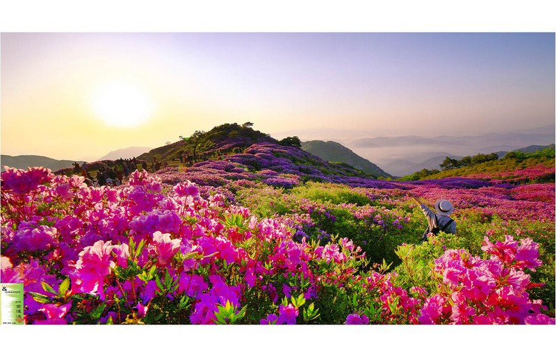 황매산