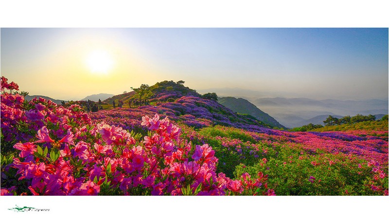 황매산 일출경