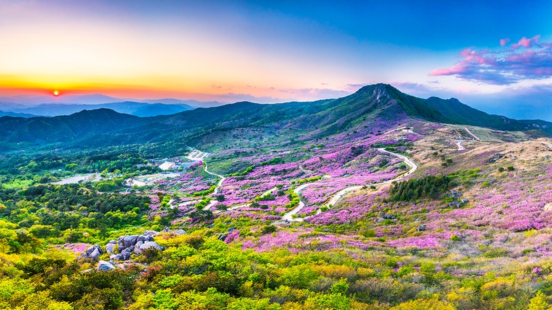 황매산