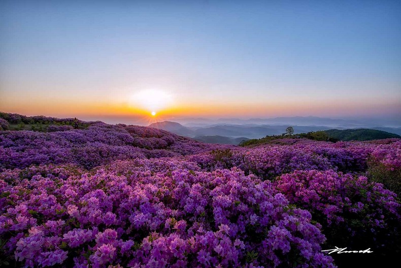 황매산