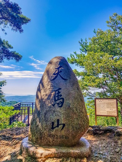 운동