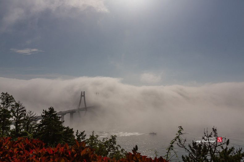 거가대교