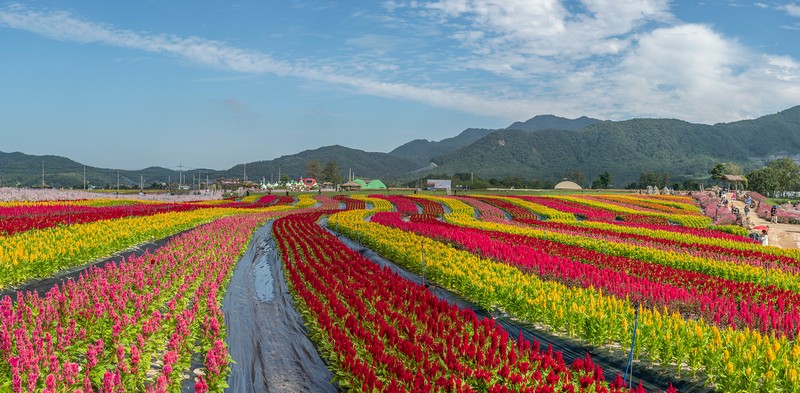 고석정