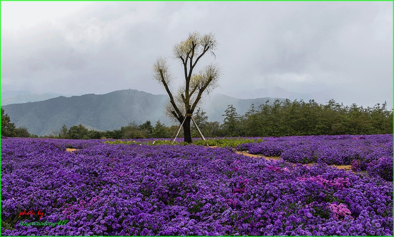 가막산