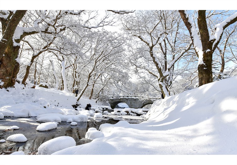 선운산 설경