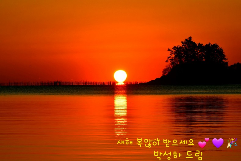 새해 복많이 받으세요