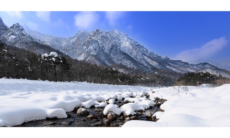 설경