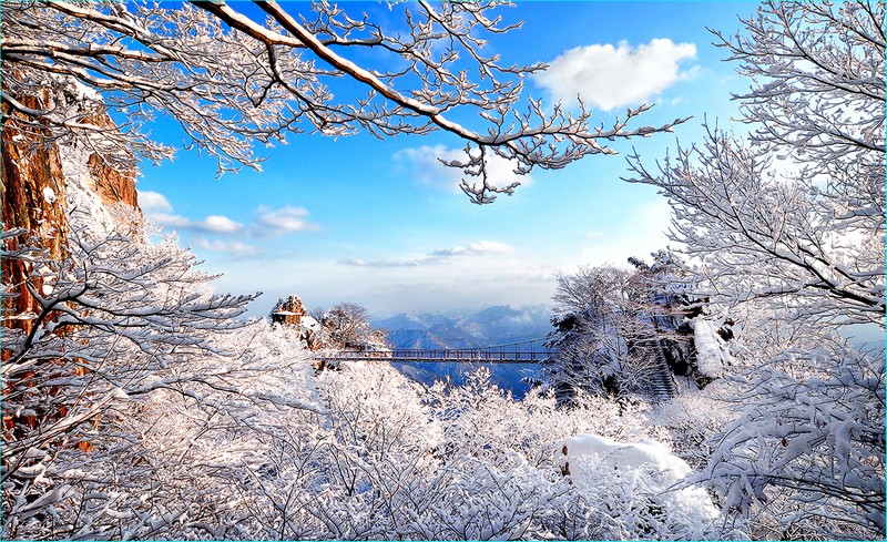 설경