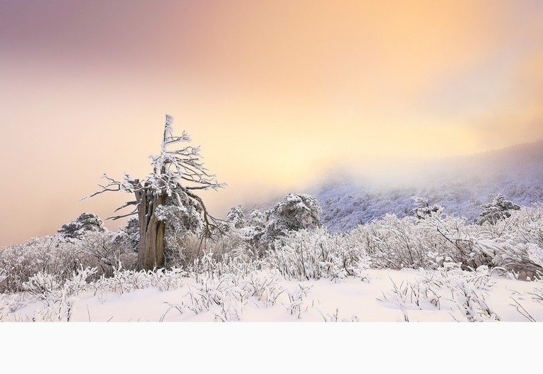 함백산