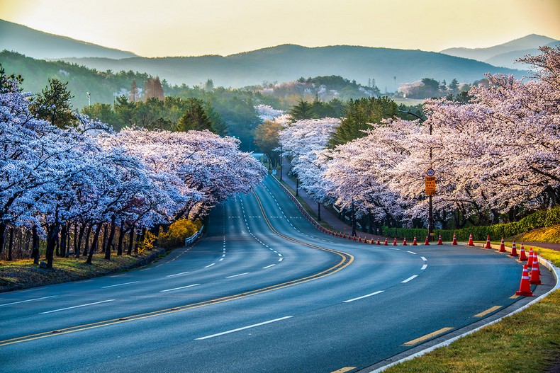 in 경주 28일
