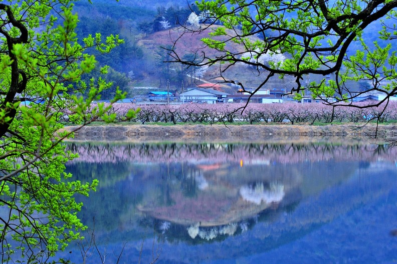 무릉도원