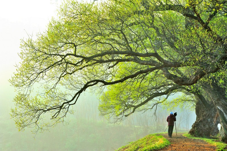 춘색