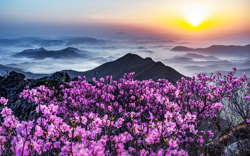 대둔산