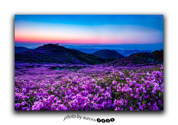 황매산
