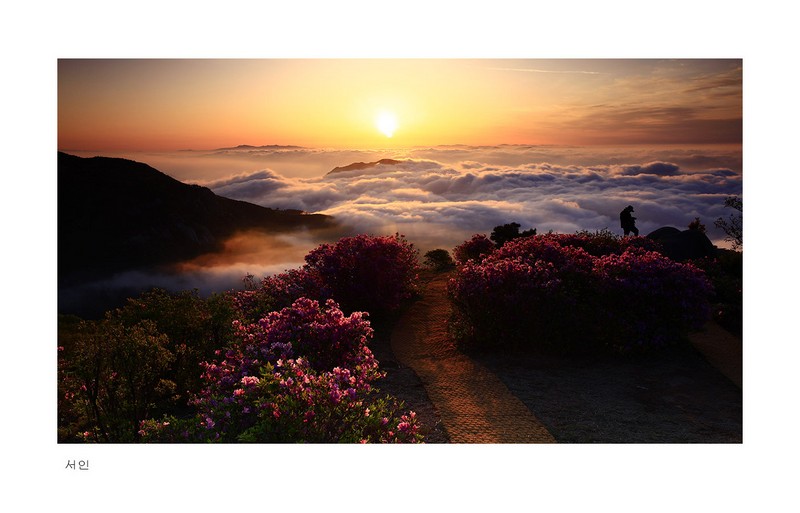 황매산