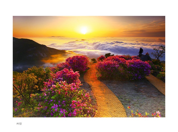 황매산 열전
