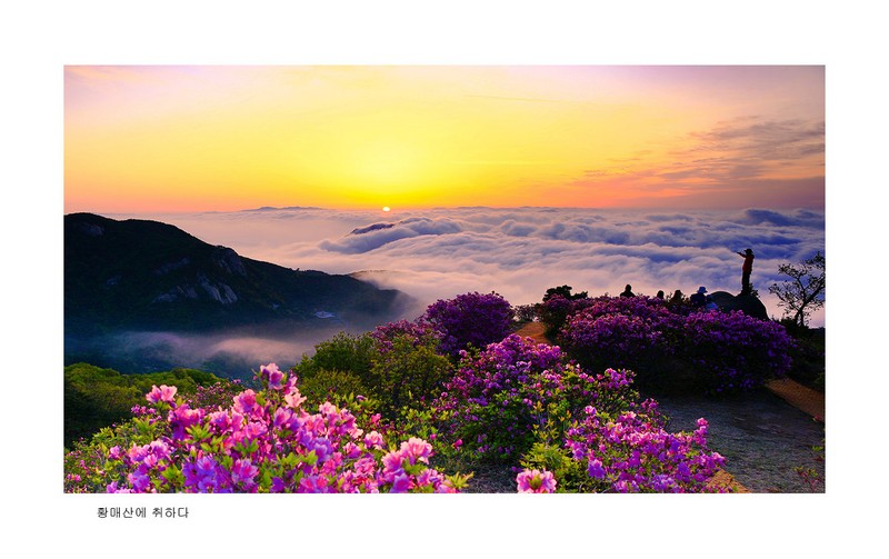 황매산 일출경