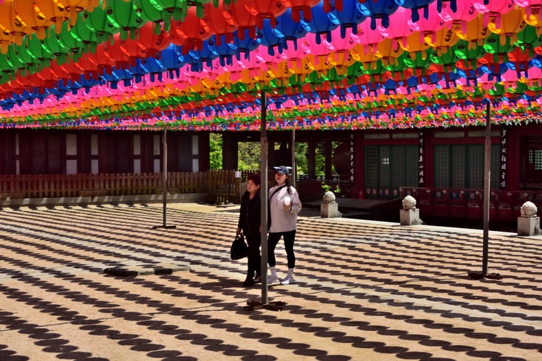 동화사 연등