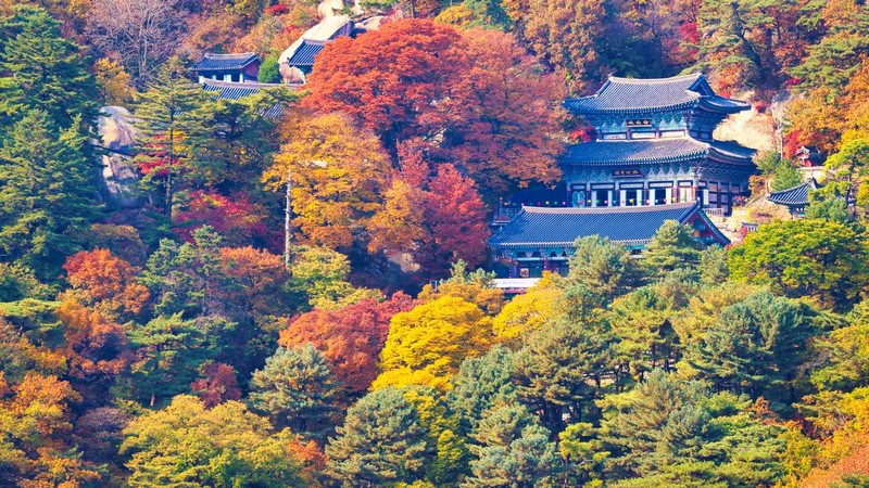 도봉산 망월사 추색
