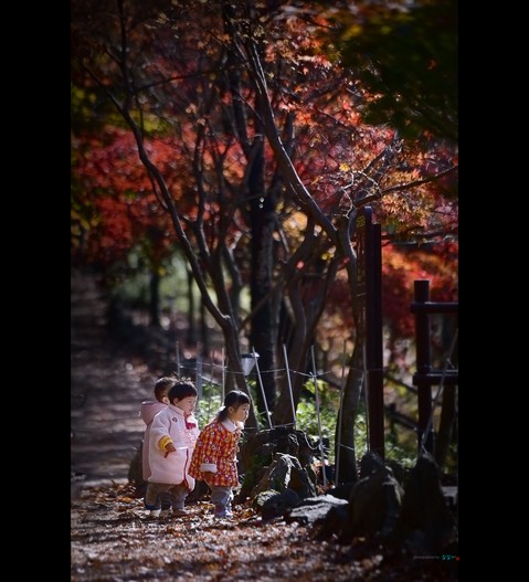 가을 나들이 7