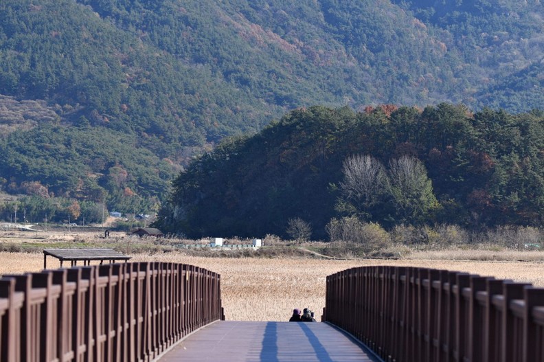 순천만 습지