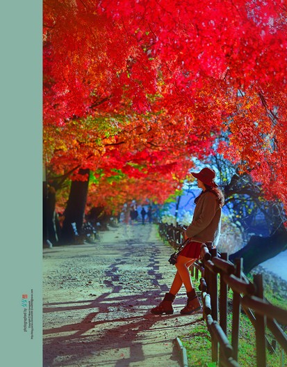 [진해 환경생태공원] 2023 ,11 아름다운 인연중에...