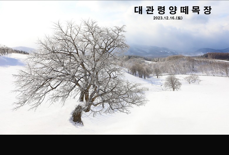 양떼 목장