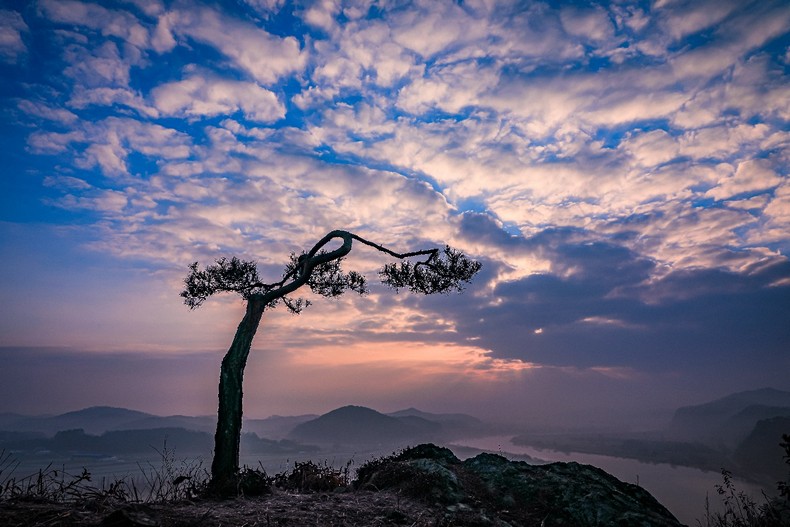 영산강 삼한지