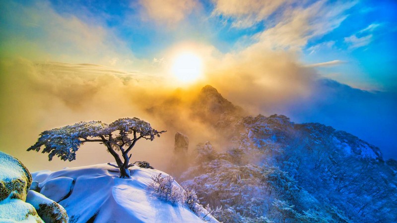 도봉산풍경